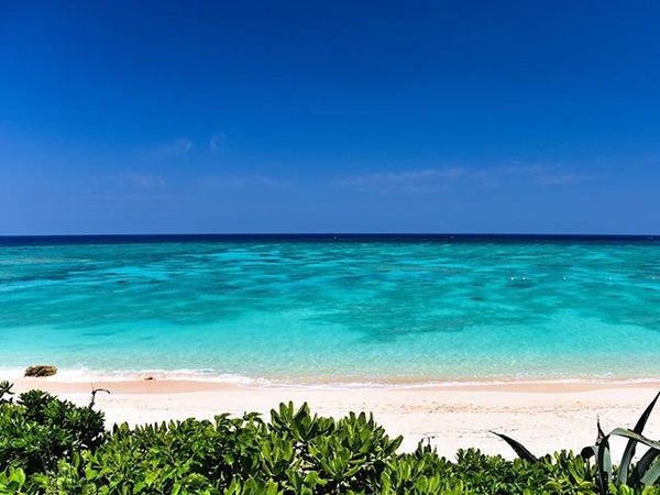 ■【与論島/美しいビーチをクルージング】ウミガメに出会えるかも??☆プリシアリゾートヨロン指定3泊4日2